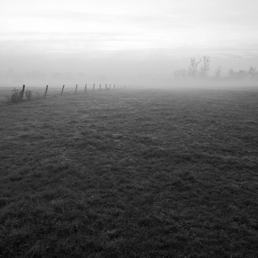 Abaucourt, brouillard
