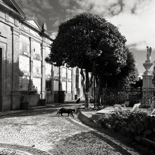 Cimitério de Agramonte