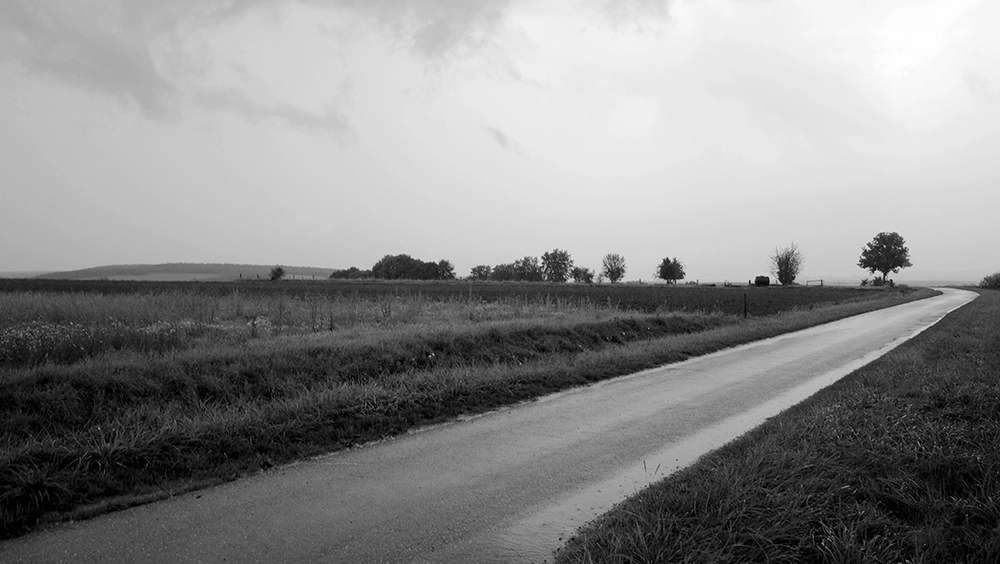 route-du-bois-Abaucourt.jpg