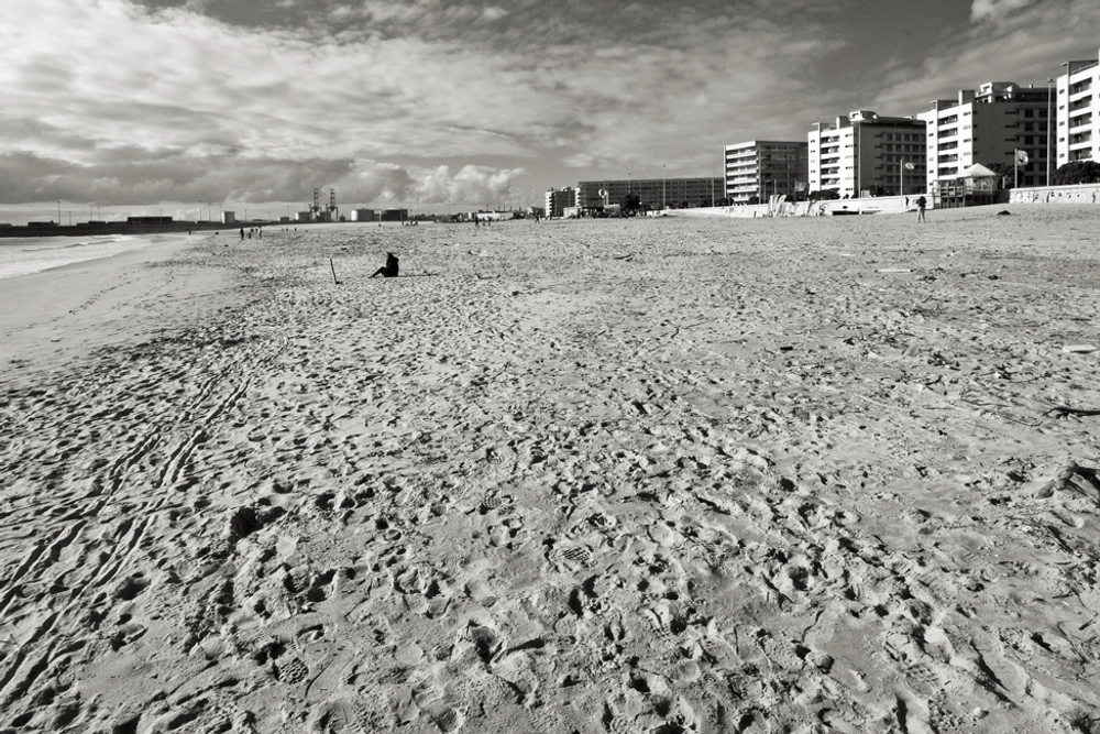 Praia-de-matosinhos-e-anémona-2.jpg