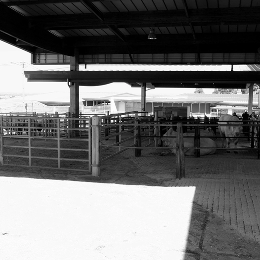 St Christophe en Brionnais