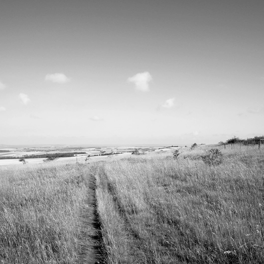 Juville / Côte de Delme