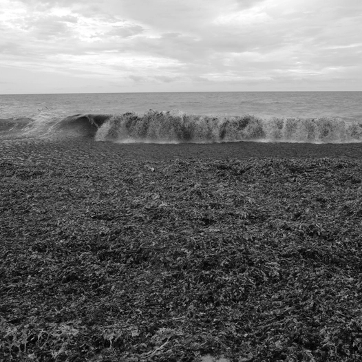 Baie de la Cotinière
